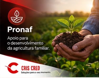 Pronaf — Cris Cred